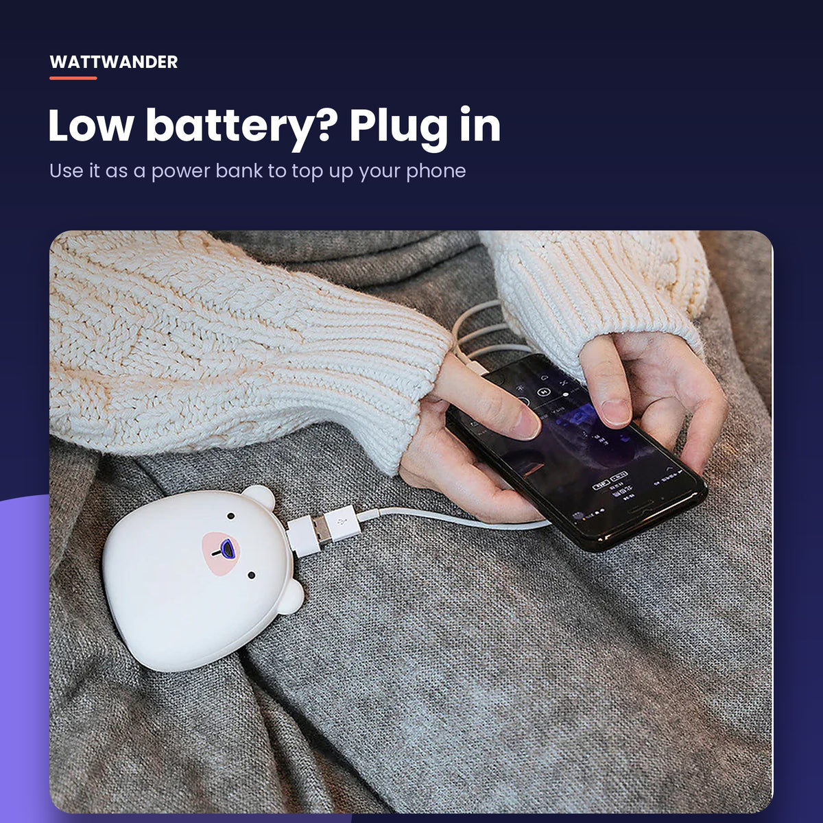 Charging a phone from the polar bear power bank