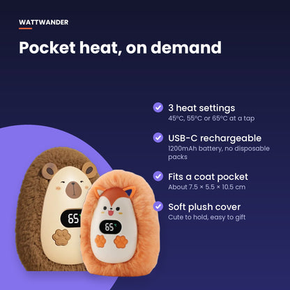 Why you'll love it: 3 heat settings, USB-C, pocket-sized