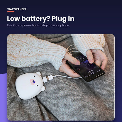 Charging a phone from the polar bear power bank